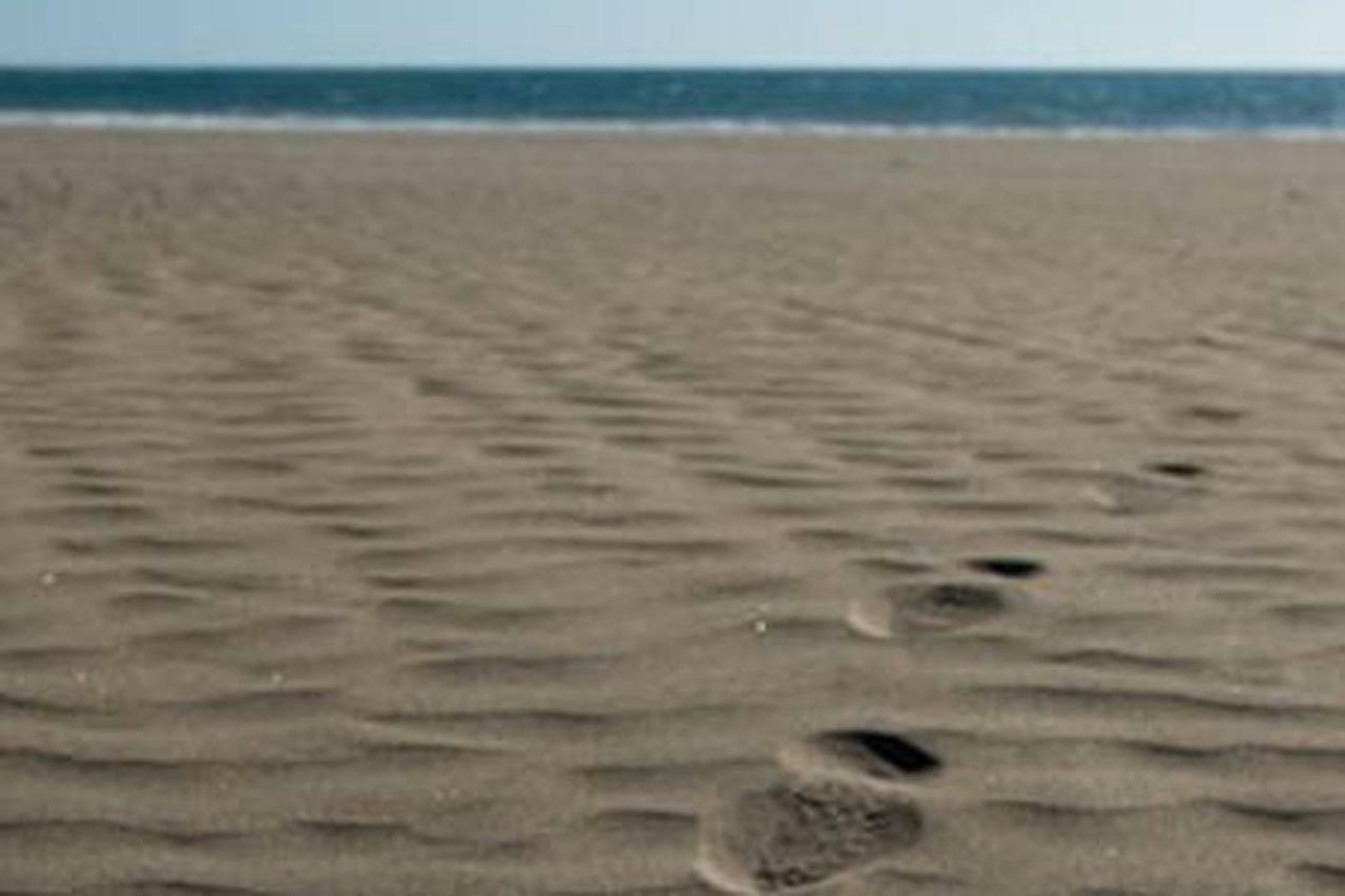 Primera Linea De Playa De Las Burras San Agustín Dış mekan fotoğraf